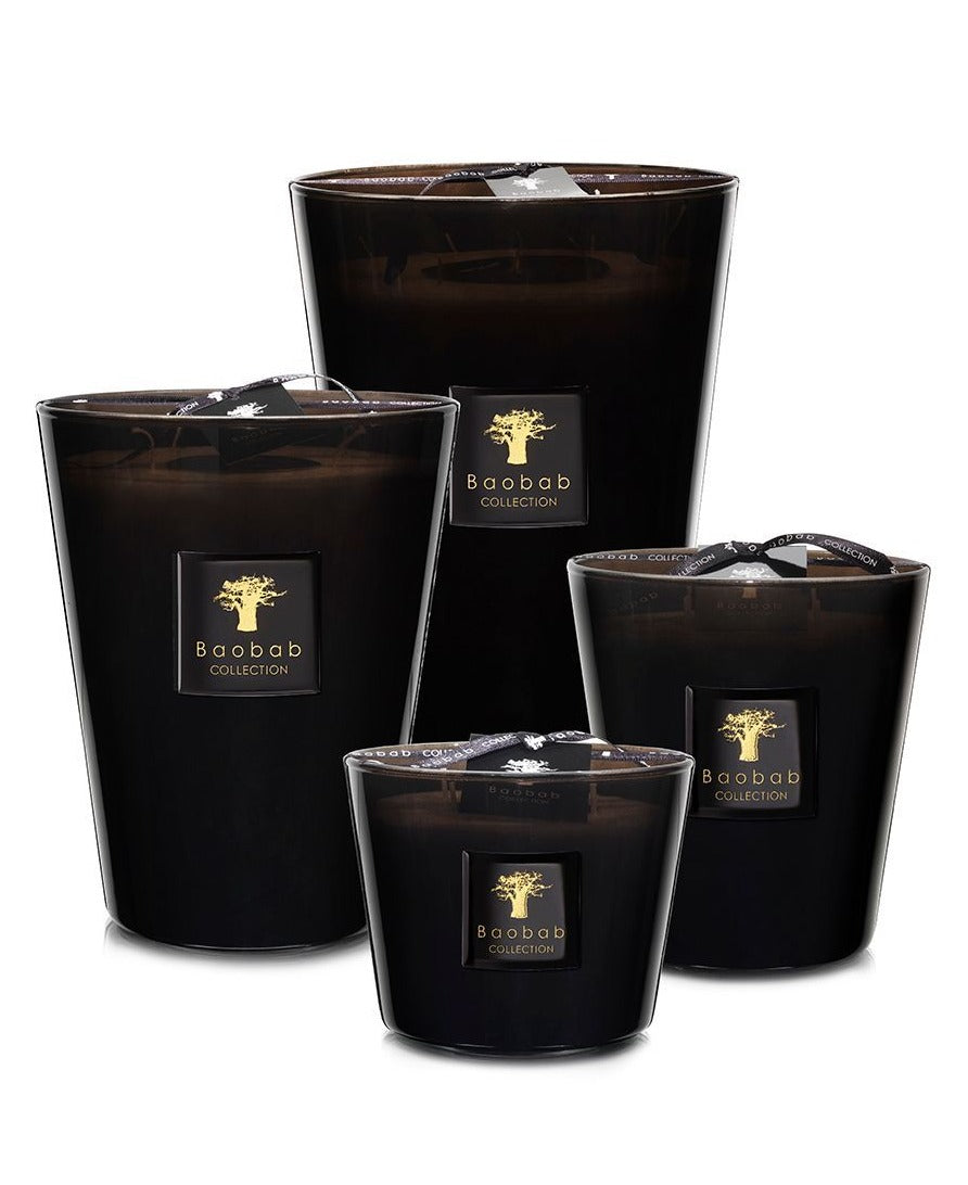 Baobab | Encre de Chine | Max 24