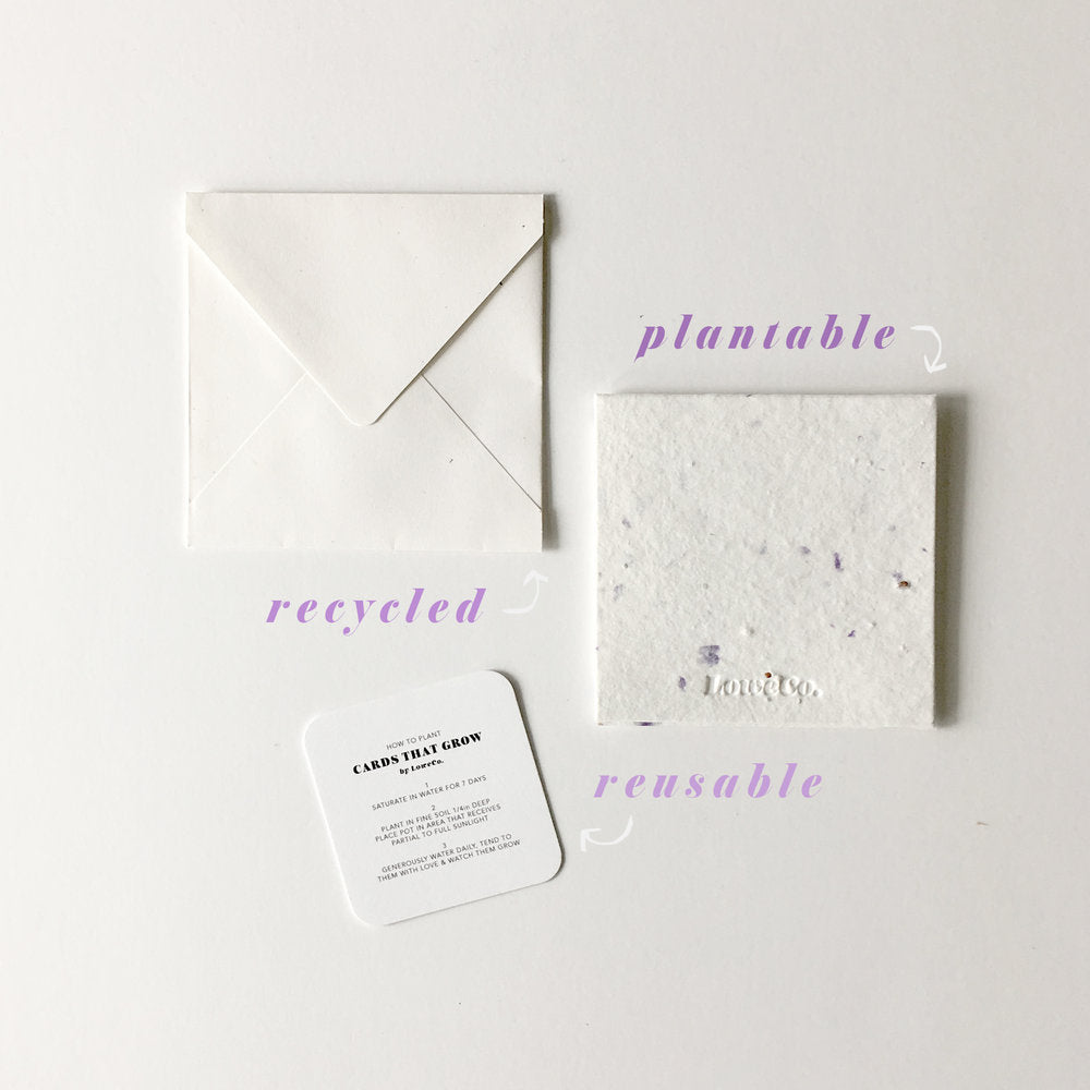 LoweCo. | Hi | Plantable Poco Cards That Grow