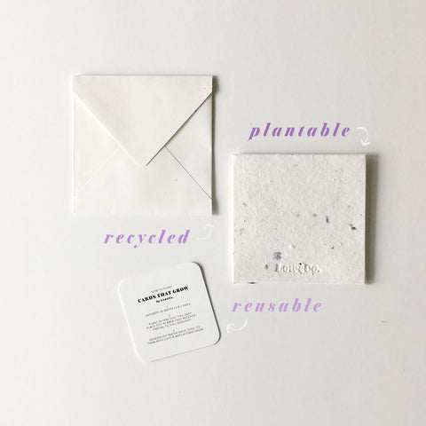 LoweCo. | Hi | Plantable Poco Cards That Grow