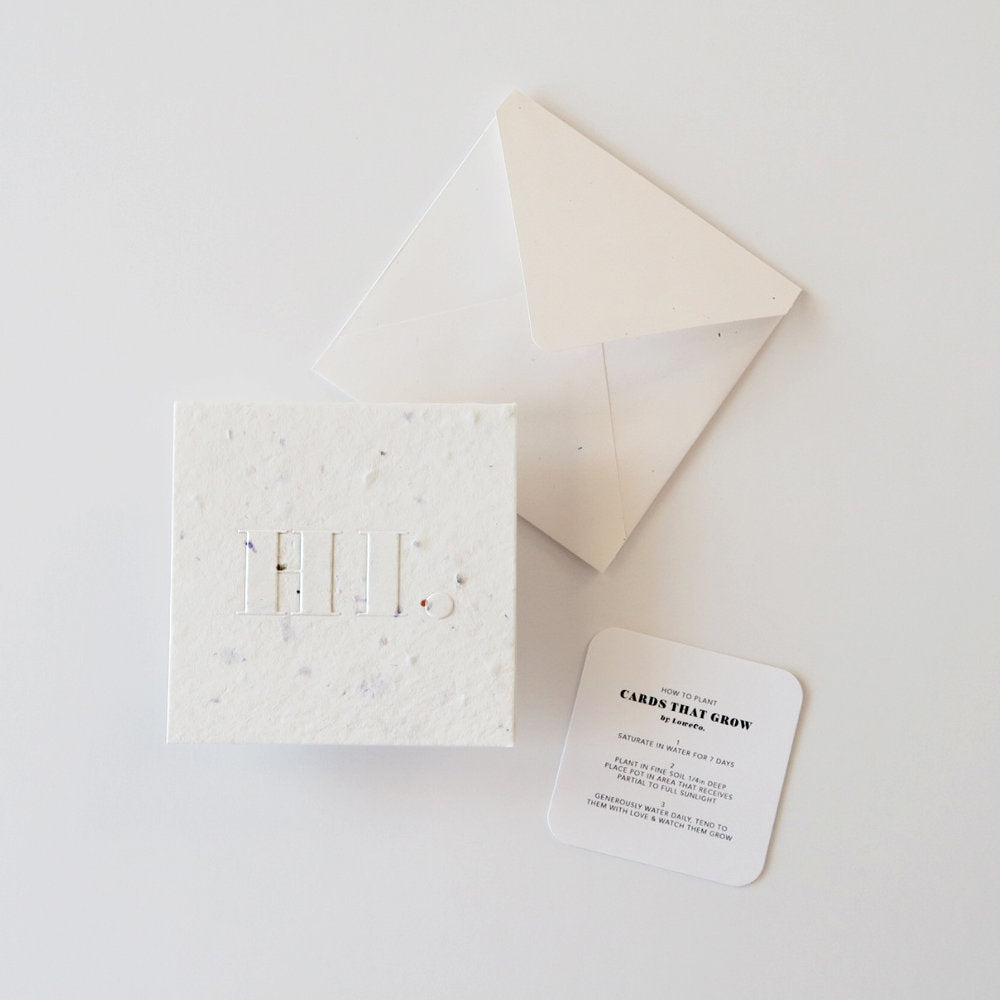 LoweCo. | Hi | Plantable Poco Cards That Grow